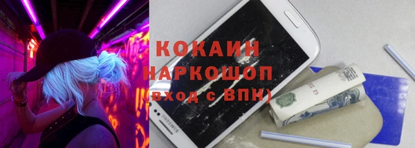 винт Инсар