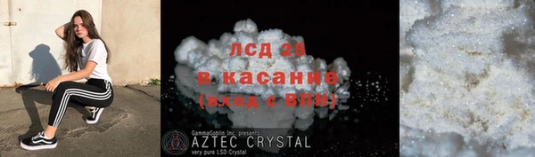 крисы Инта