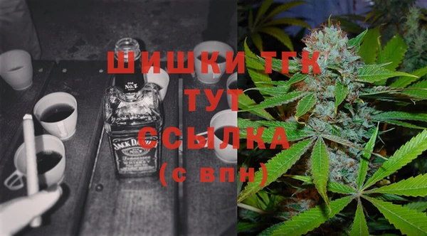 крисы Инта