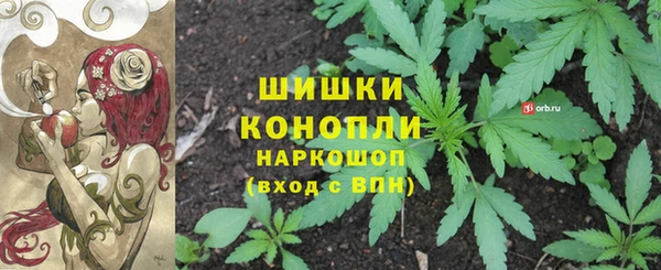 прущая мука Иннополис