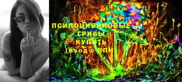 крисы Инта