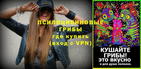 винт Инсар