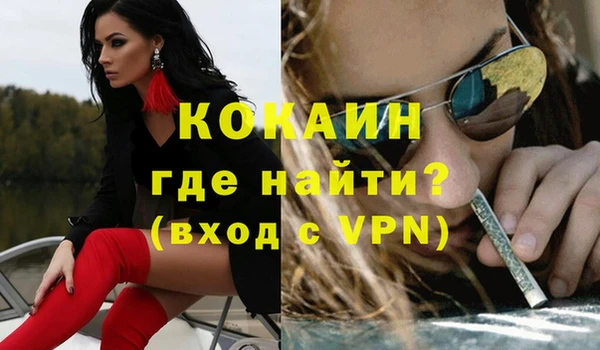крисы Инта