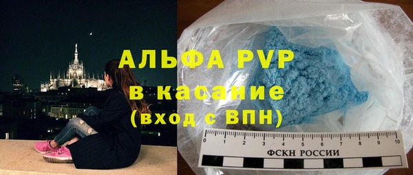 крисы Инта