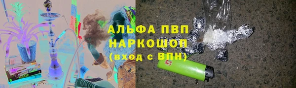 крисы Инта