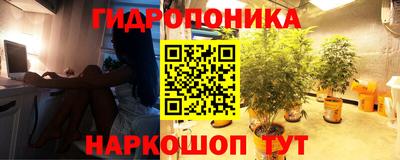 ECSTASY Ижевск