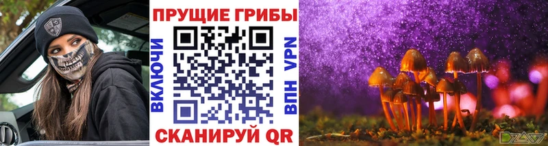 Псилоцибиновые грибы MAGIC MUSHROOMS Истра