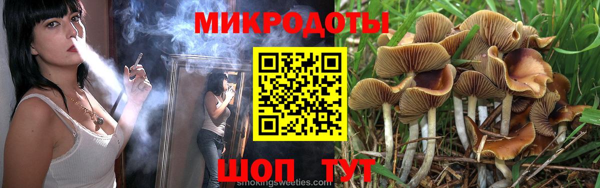 Истра  Галлюциногенные грибы мухоморы  Вход с VPN 