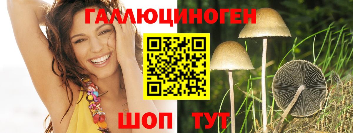 Псилоцибиновые грибы прущие грибы Истра