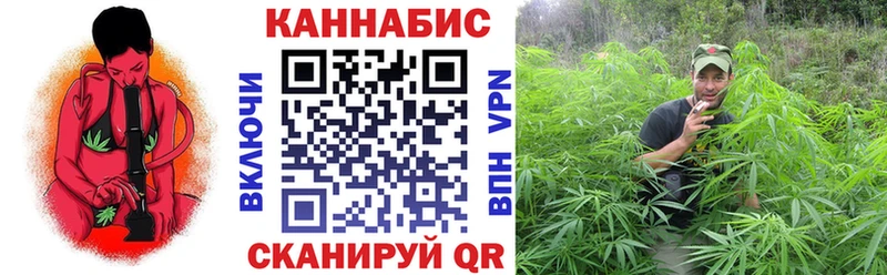 Канабис OG Kush  Истра 